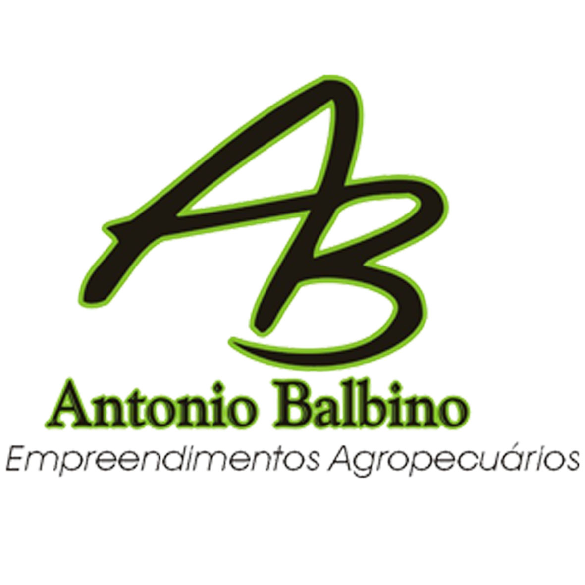 Agropastoril Antônio Balbino
