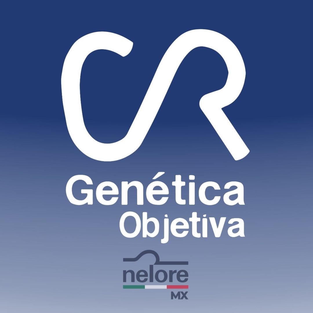 CR GENÉTCA OBJETIVA