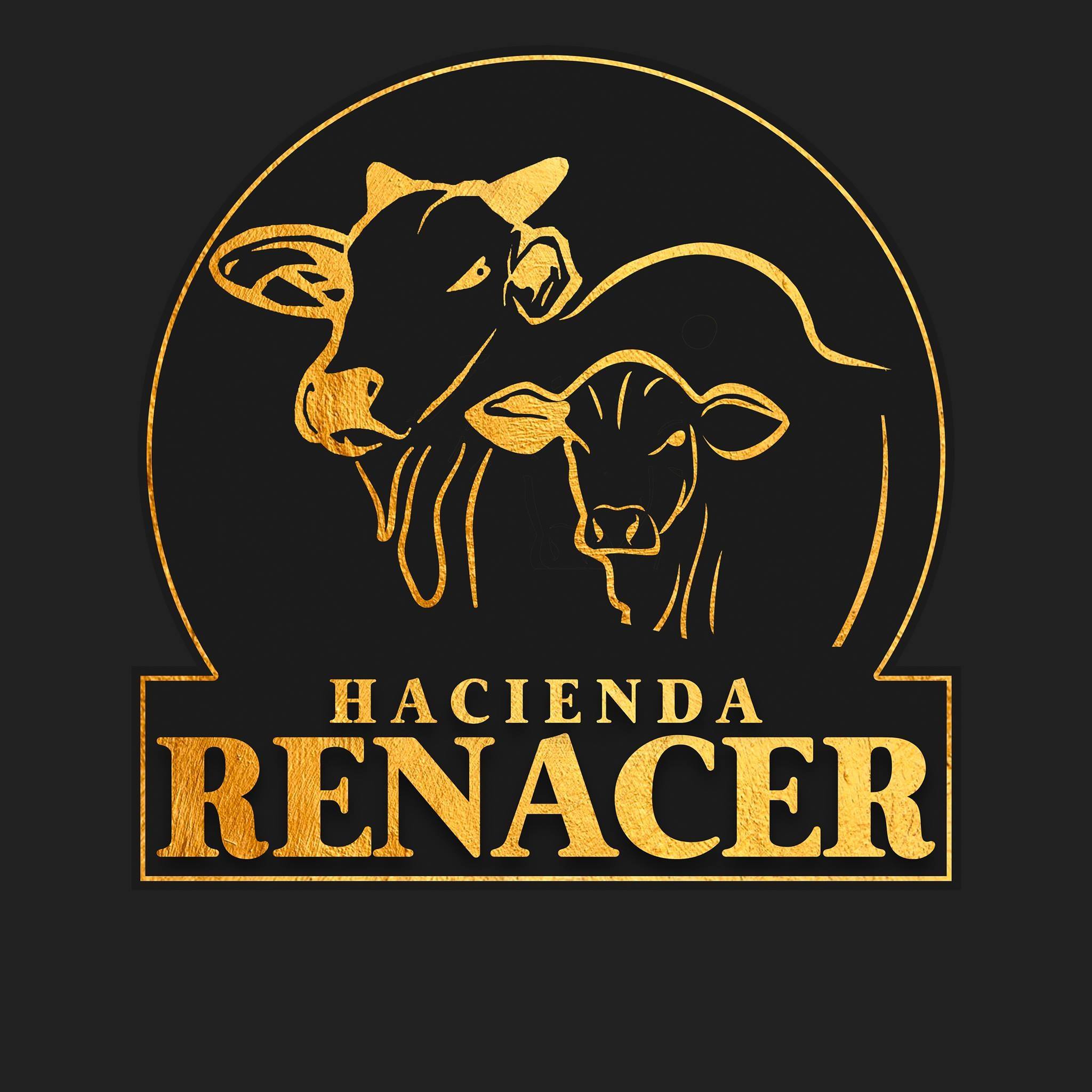 Hacienda Renacer